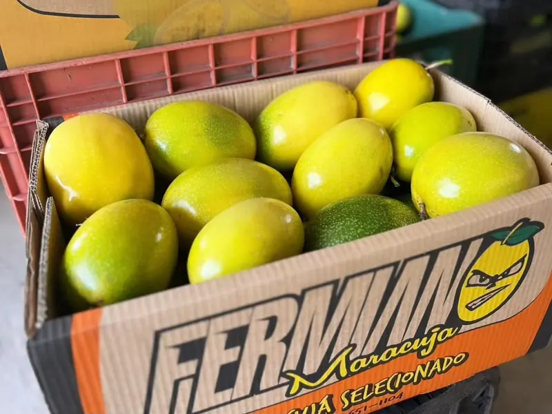 Caixa de maracujá selecionado com a marca Fermiano