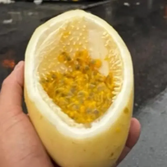 Maracujá cortado ao meio mostrando a polpa