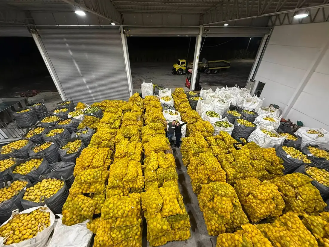 Galpão com sacos de maracujá prontos para expedição